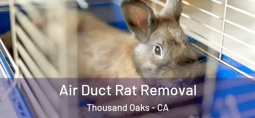  Air Duct Rat Removal Thousand Oaks - CA