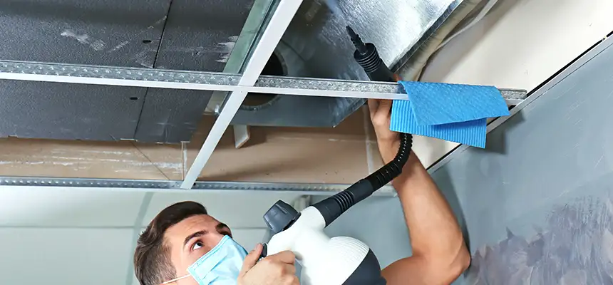 Our Air Duct Rodent Removal Services in Thousand Oaks, CA