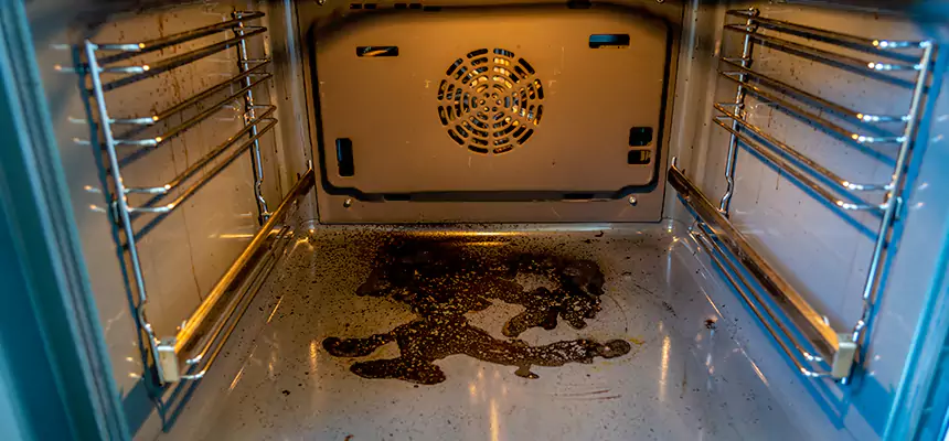 Our Dryer Vent Mold Cleaning Services in Thousand Oaks, CA