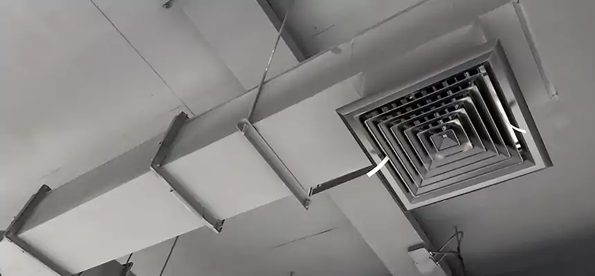 Our Rodent Droppings In Vents Services in Thousand Oaks, CA