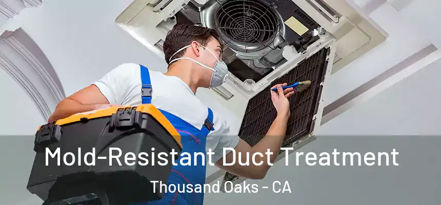  Mold-Resistant Duct Treatment Thousand Oaks - CA