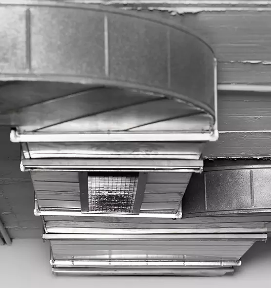 Professional Air Duct Pet Hair Removal in Thousand Oaks, CA