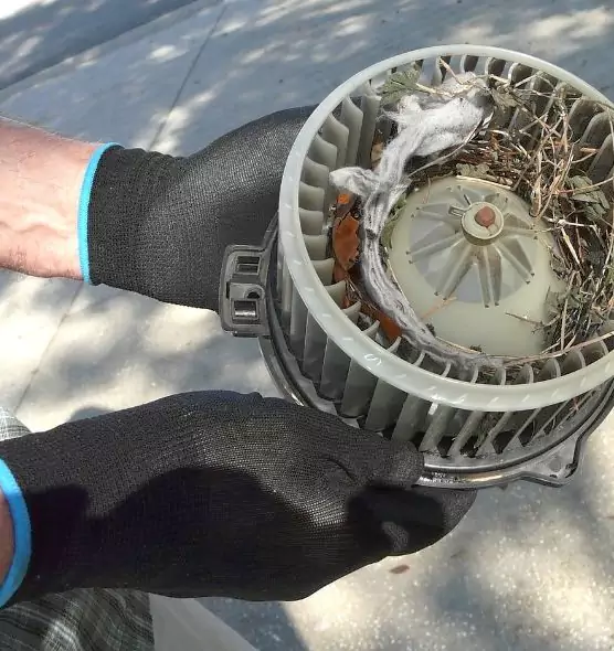 About Air Duct Rat Removal in Thousand Oaks, CA