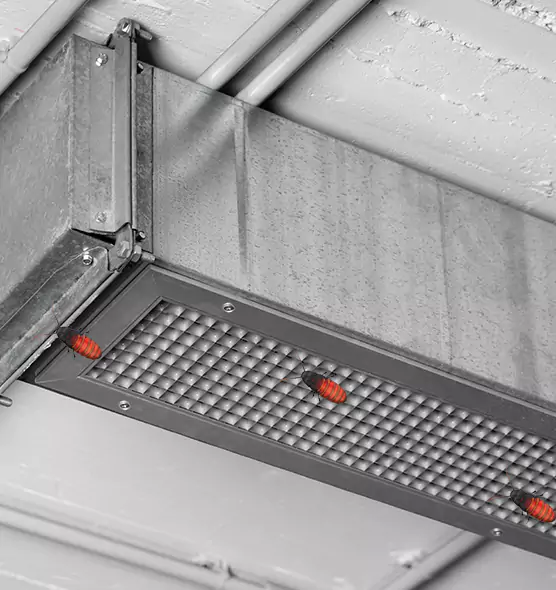 Affordable Insect Removal from Air Ducts in Thousand Oaks, CA