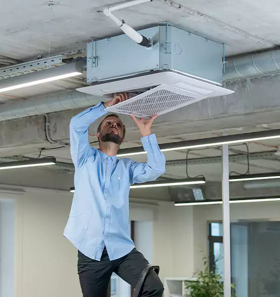 Advanced Rodent Droppings In Vents in Thousand Oaks, CA