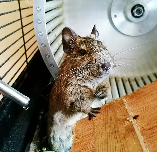 Why Homeowners & Businesses Trust Us Thousand Oaks, CA?