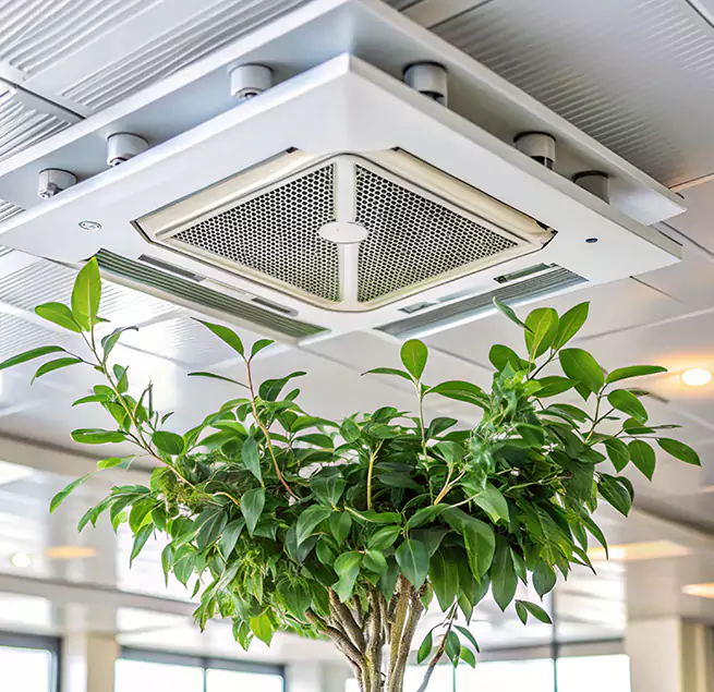 Why Homeowners & Businesses Trust Us in Thousand Oaks, CA?