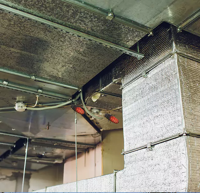 Why Homeowners & Businesses Trust Us Thousand Oaks, CA?